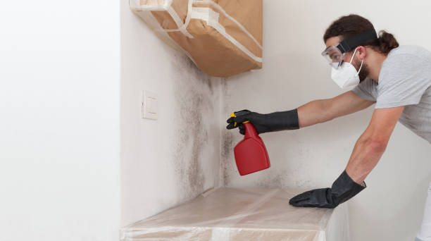Professional Basement Mold Remediation technician working in Wakefield, MI