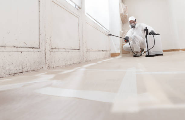 24/7 Emergency Basement Mold Remediation experts in Wakefield, MI