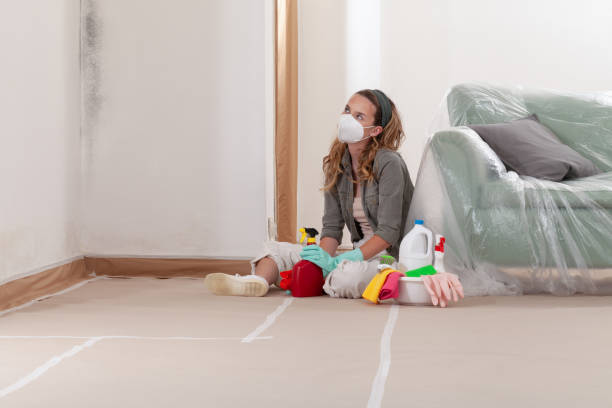 Reliable Basement Mold Remediation contractor in Wakefield, MI by Mold Remediation HQ